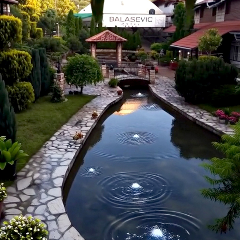 Balašević Centar - Galerija